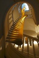 Helix spiral - extreem lange lamp in esdoorn hout voorzien van meerdere LEDs - Passion 4 Wood - woodlight collection, design by mike Vanbelleghem